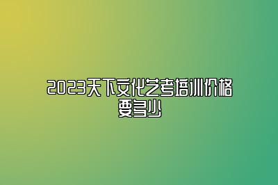 2023天下文化艺考培训价格要多少