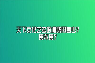 天下文化艺考培训费用多少?贵不贵？