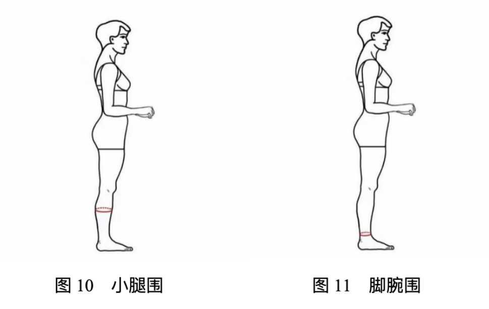 2024年浙江省普通高校招生|表（导）演类服装表演方向专业统一考试报考简章