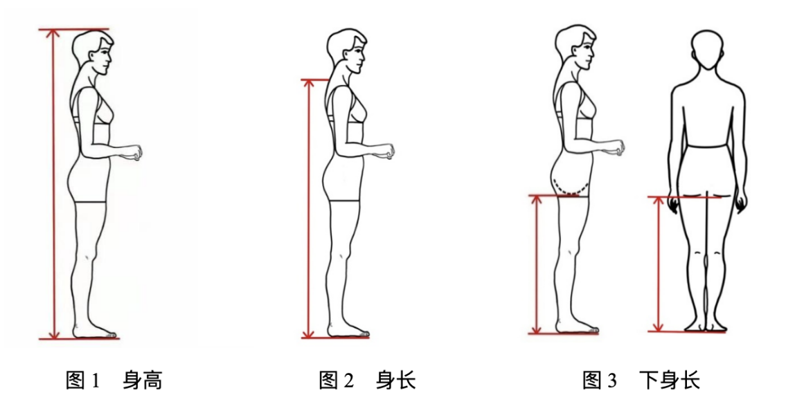 2024年浙江省普通高校招生|表（导）演类服装表演方向专业统一考试报考简章