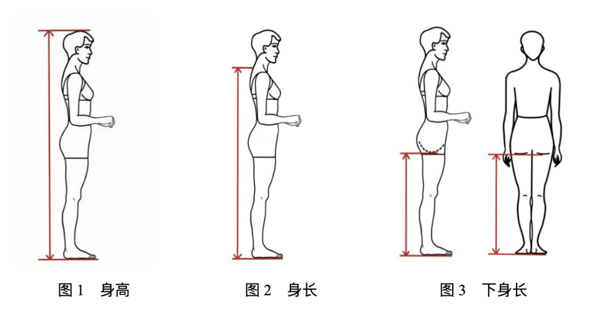 2024年浙江省普通高校招生|表（导）演类服装表演方向专业统一考试报考简章